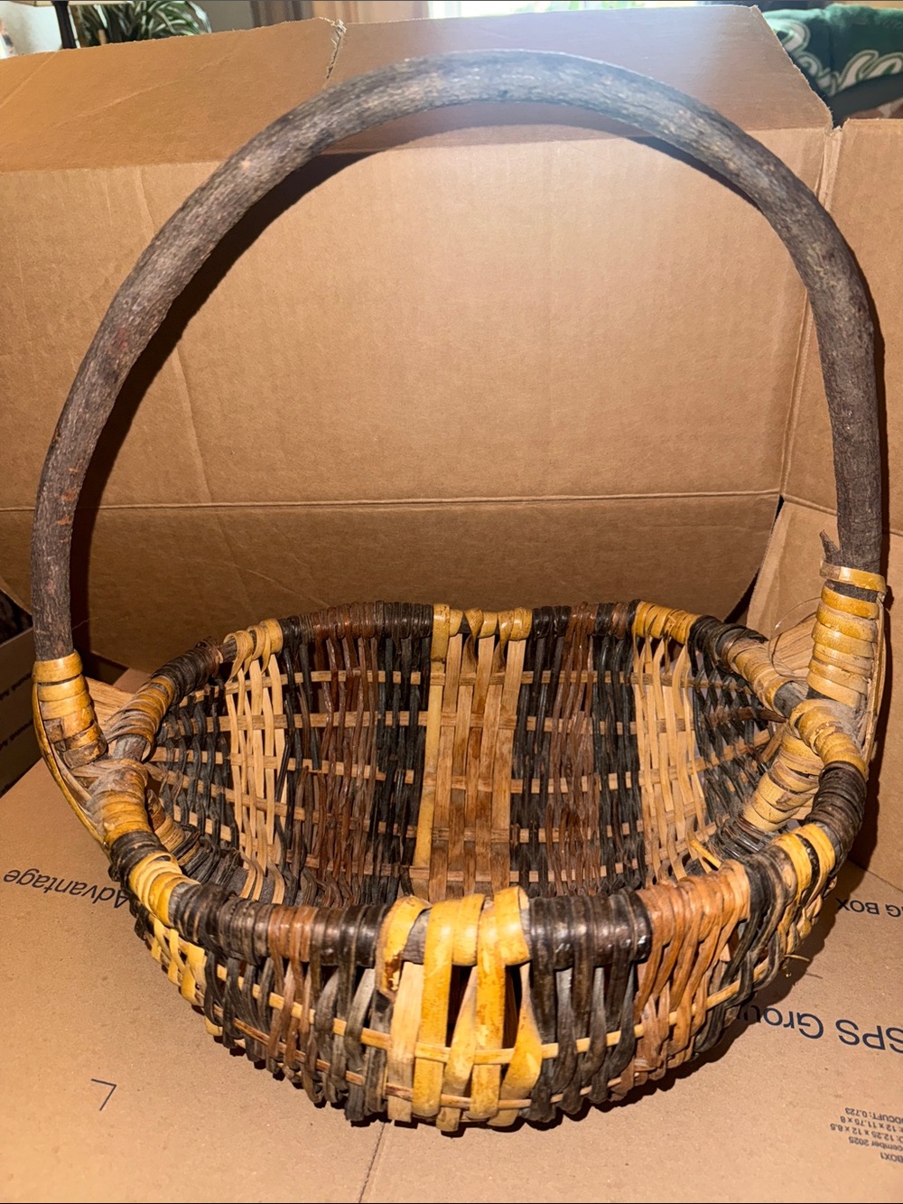 Handwoven Rustic Brown and Tan Wicker Basket with Branch Handle